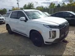 KM8R7DGEXRU781512 2024 HYUNDAI PALISADE