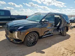 KM8R7DGEXSU926893 2025 HYUNDAI PALISADE