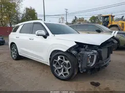 KM8R7DHE0MU248219 2021 HYUNDAI PALISADE