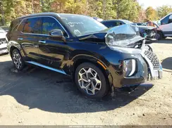 KM8R7DHE4MU264438 2021 HYUNDAI PALISADE
