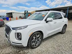 KM8R7DHE5MU203549 2021 HYUNDAI PALISADE