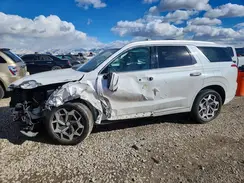 KM8R7DHE9MU288718 2021 HYUNDAI PALISADE