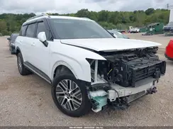 KM8RH5SAXTU039660 2026 HYUNDAI PALISADE