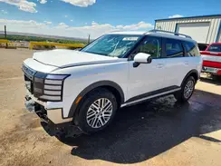 KM8RLES25TU102154 2026 HYUNDAI PALISADE