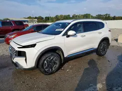 KM8S2DA10NU046750 2022 HYUNDAI SANTA FE