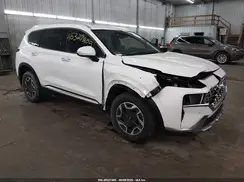 KM8S2DA13MU010484 2021 HYUNDAI SANTA FE