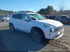 KM8S2DA14MU005827 2021 HYUNDAI SANTA FE