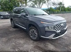 KM8S2DA14MU005973 2021 HYUNDAI SANTA FE