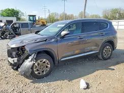 KM8S2DA14NU053510 2022 HYUNDAI SANTA FE