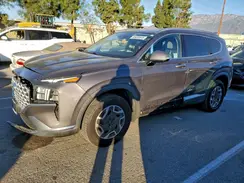 KM8S2DA14NU058934 2022 HYUNDAI SANTA FE