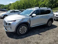 KM8S2DA16MU007630 2021 HYUNDAI SANTA FE