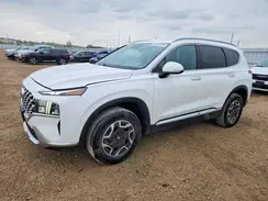 KM8S2DA16MU010642 2021 HYUNDAI SANTA FE