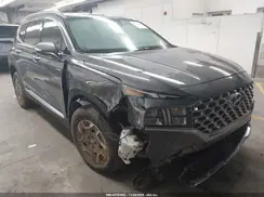 KM8S2DA17MU005644 2021 HYUNDAI SANTA FE