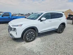 KM8S2DA17MU006292 2021 HYUNDAI SANTA FE
