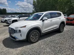 KM8S2DA18NU054840 2022 HYUNDAI SANTA FE