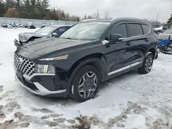 KM8S3DA10MU005255 2021 HYUNDAI SANTA FE