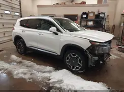 KM8S3DA11MU002753 2021 HYUNDAI SANTA FE
