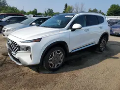 KM8S5DA11PU083347 2023 HYUNDAI SANTA FE