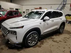 KM8S5DA14PU078935 2023 HYUNDAI SANTA FE