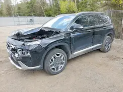 KM8S5DA18NU059608 2022 HYUNDAI SANTA FE