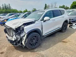 KM8S5DA18PU066206 2023 HYUNDAI SANTA FE