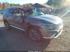 KM8S5DA19NU050464 2022 HYUNDAI SANTA FE