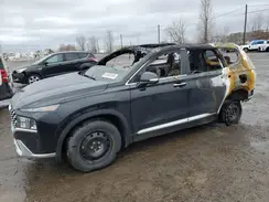 KM8S5DA19PU081880 2023 HYUNDAI SANTA FE