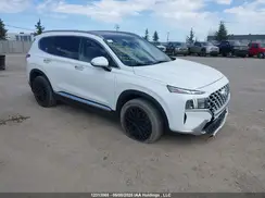 KM8S5DA1XNU052806 2022 HYUNDAI SANTA FE