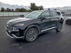 KM8S6DA20PU090179 2023 HYUNDAI SANTA FE