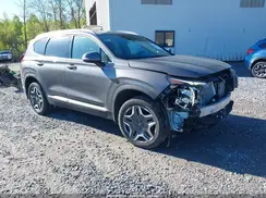 KM8S6DA23NU050210 2022 HYUNDAI SANTA FE