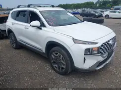 KM8S6DA24NU031813 2022 HYUNDAI SANTA FE