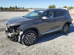 KM8S6DA26NU051447 2022 HYUNDAI SANTA FE