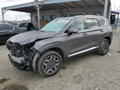 KM8S6DA2XNU023859 2022 HYUNDAI SANTA FE