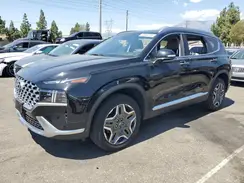 KM8S7DA28PU081047 2023 HYUNDAI SANTA FE
