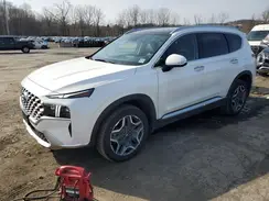 KM8S7DA29NU043890 2022 HYUNDAI SANTA FE
