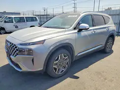 KM8S7DA2XPU081907 2023 HYUNDAI SANTA FE