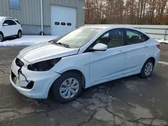 KMHCT4AE2HU365849 2017 HYUNDAI ACCENT