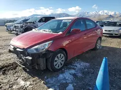 KMHCT4AE8HU294186 2017 HYUNDAI ACCENT