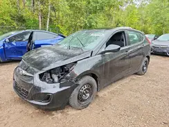 KMHCT5AE2HU356106 2017 HYUNDAI ACCENT