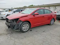 KMHD74LF4KU799549 2019 HYUNDAI ELANTRA