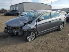 KMHD74LF5KU833756 2019 HYUNDAI ELANTRA