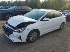 KMHD74LF9KU771455 2019 HYUNDAI ELANTRA