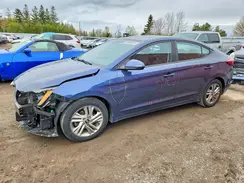 KMHD84LF1KU800508 2019 HYUNDAI ELANTRA