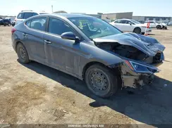 KMHD84LF1KU810780 2019 HYUNDAI ELANTRA