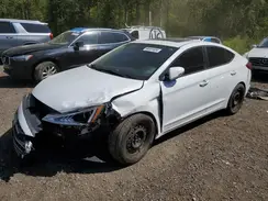 KMHD84LF1LU085943 2020 HYUNDAI ELANTRA