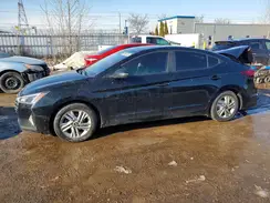 KMHD84LF1LU972135 2020 HYUNDAI ELANTRA