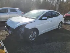 KMHD84LF2KU736107 2019 HYUNDAI ELANTRA