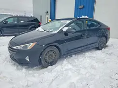 KMHD84LF2LU967381 2020 HYUNDAI ELANTRA