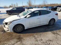 KMHD84LF3LU972038 2020 HYUNDAI ELANTRA