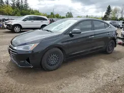 KMHD84LF3LU979877 2020 HYUNDAI ELANTRA